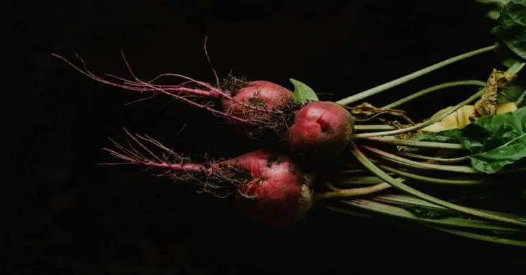 Beets and Blood Pressure: A Natural Boost for Heart Health