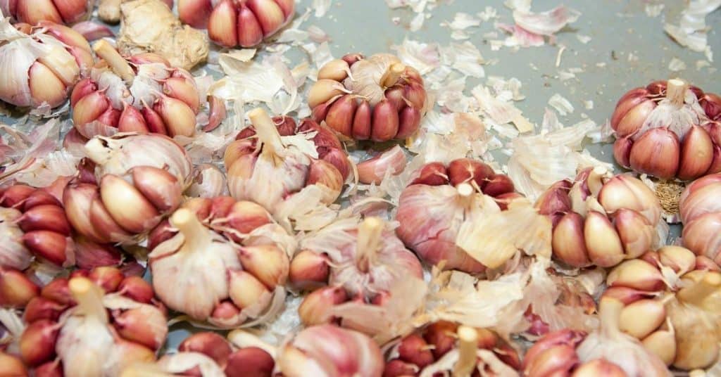 Speed Up Prep: Time-Saving Tricks for Every Step in the Kitchen