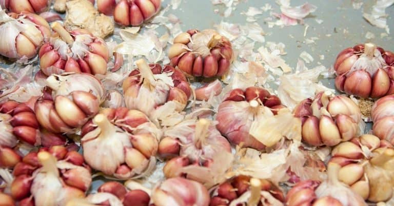 Speed Up Prep: Time-Saving Tricks for Every Step in the Kitchen